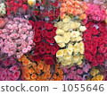 A rose bunch 1055646