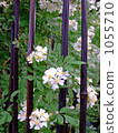 Bamboos and flowers 1055710