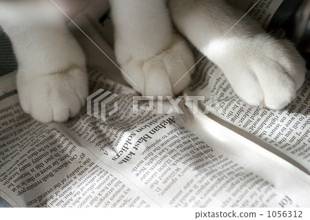 newspaper, creature, living thing 1056312