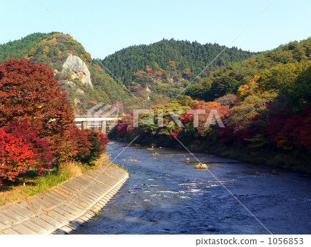 Aki Kuzukawa 1056853