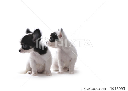 Right to the right Right to the right 1058095