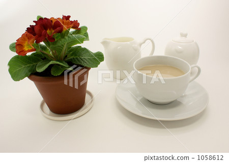 報春花朱利安和奶茶 1058612