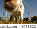 Very interesting 1058622