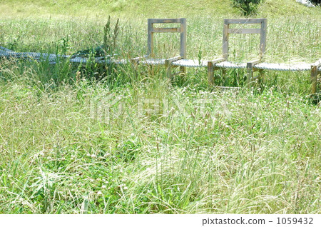 長凳 長凳 1059432