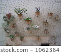 Varddemosa（Valldemosa）牆壁花盆 1062364