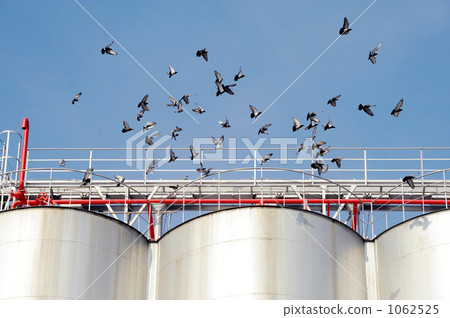 Fly off Fly off 1062525