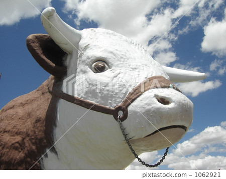 一頭牛！ 1062921