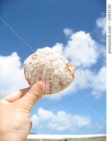 Shellfish and blue sky 1064130