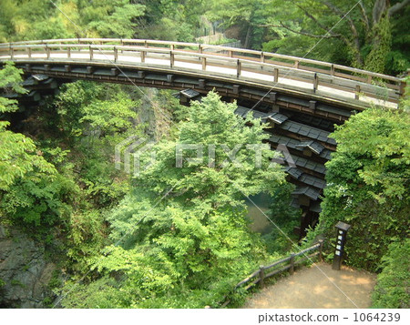 猿橋 猿橋 1064239