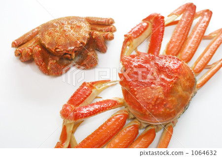 螃蟹  1064632