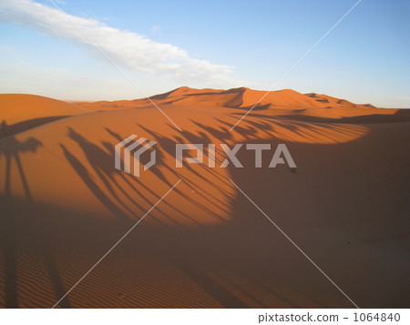 Sahara Desert Sahara Desert 1064840