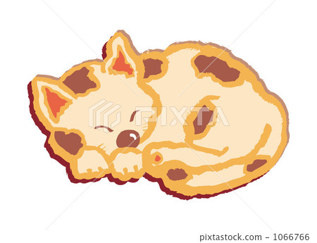 Cat 20091113_39 1066766