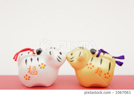the tiger, tiger, tigers 1067061