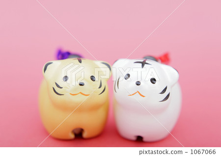 the tiger, tiger, tigers 1067066