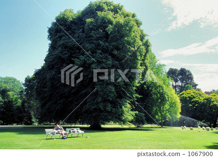 克賴斯特徹奇附近的哈格利公園 1067900