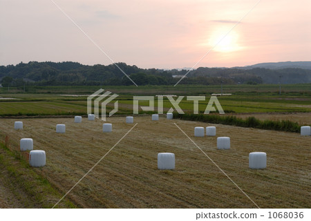 黃昏耕地 1068036