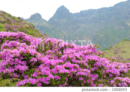 麻生的Miyama Kirishima 1068043