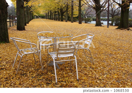 f 1571 f 1571 1068530