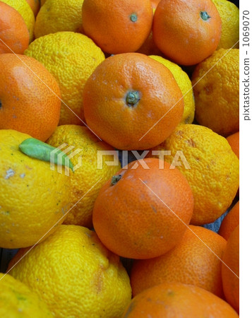 Yuzu and oranges Yuzu and oranges 1069070