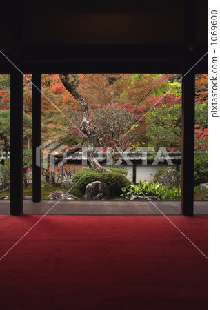 本莊寺Fukushinin的秋葉(垂直位置) 本莊寺Fukushinin的秋葉(垂直位置) 1069600