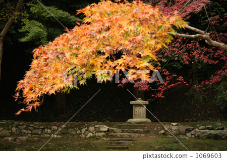 Jizo and Kaede (Horizontal position) Jizo and Kaede (Horizontal position) 1069603