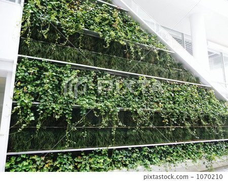 Wall greening　 1070210
