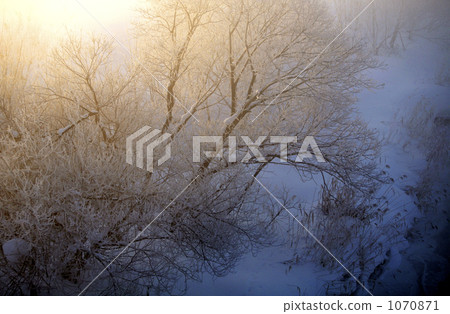 cold morning 1070871