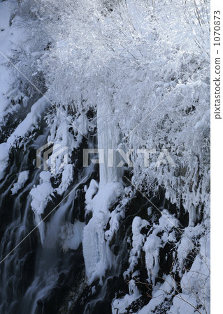 Waterfall of a wig's spiny 1070873