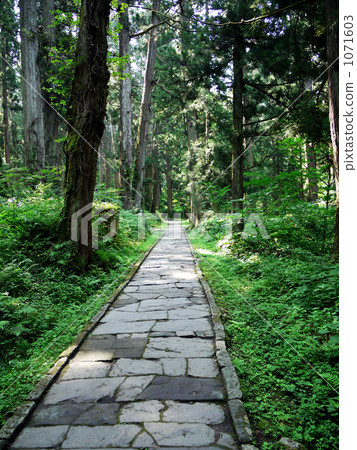Cedar boulders stone mountain path 1071603