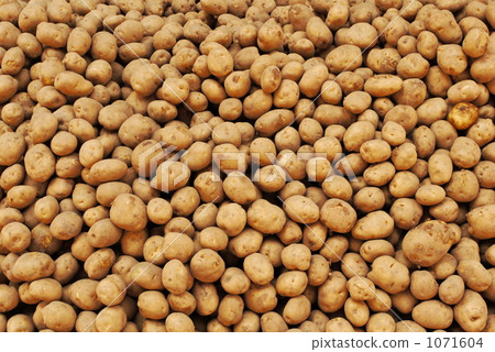 A potato 1071604