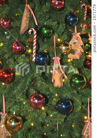聖誕樹 1071779