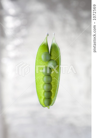 Greenpeace Greenpeace 1072569