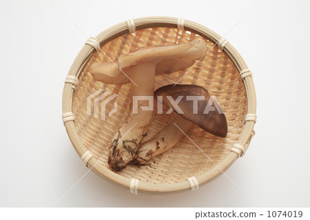 Hatakeshimeji served in monkeys 1074019