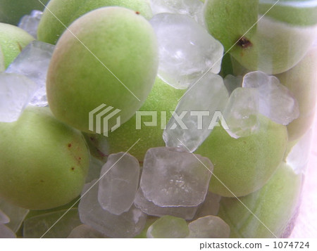 製作梅酒梅子冰糖 1074724