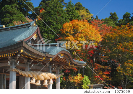 秋葉神社的秋天4 1075069