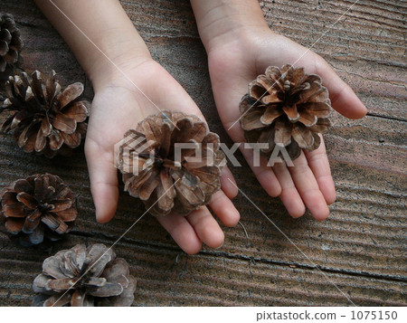 Cobblestone on hand Cobblestone on hand 1075150