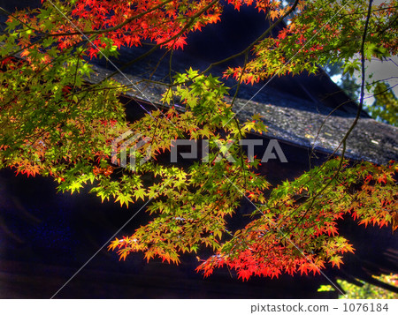 red leafe, jokoji temple, wooden 1076184