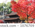 Fall of Yoshiji 1076709
