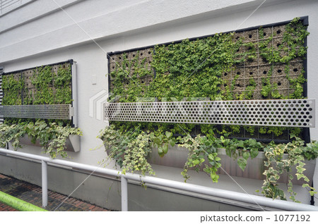 Wall greening of apartment houses 1077192
