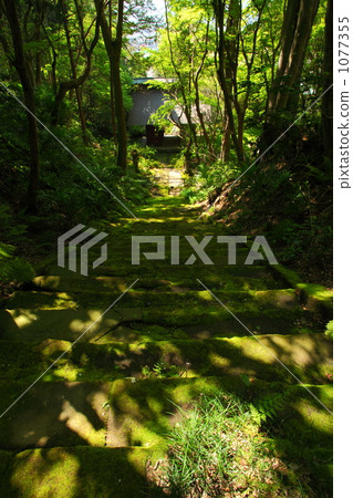 stone steps, moss, koke temple 1077355