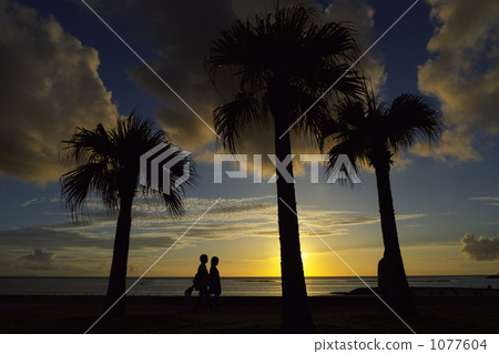 熱帶學校 熱帶學校 1077604