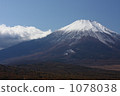 富士山 雪冠 楓樹 1078038