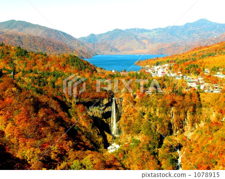 Fall autumn sunshine Fall autumn sunshine 1078915