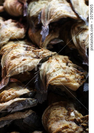 Pile of opening of horse mackerel Pile of opening of horse mackerel 1079005