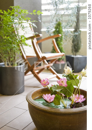 茶碟 遊廊 椅子 1079268