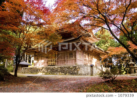 延歷 比叡山 楓樹 1079339