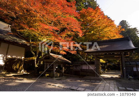 延歷 元三大師堂 比叡山 1079340