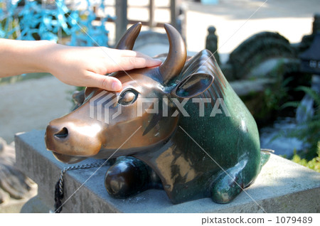 在太宰府天滿宮撫摸一頭母牛的手 1079489