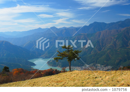 Fall of Oku Oi 3 1079756
