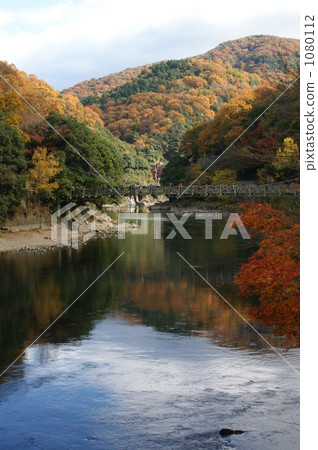 秋山 秋山 1080112